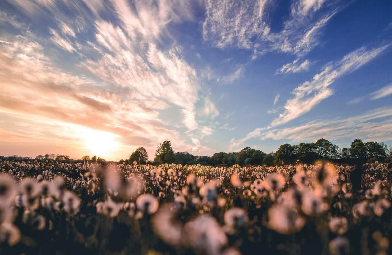 Gene's West Texas Cotton Farm: $4M Tax Deferred on a $10M Sale