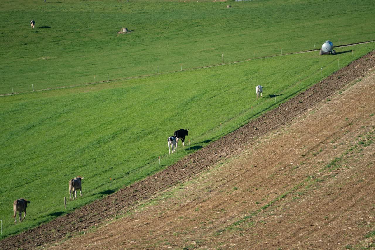 Jim's Washington Dairy Operation: $4M Deferred via Combined CRUT + DST