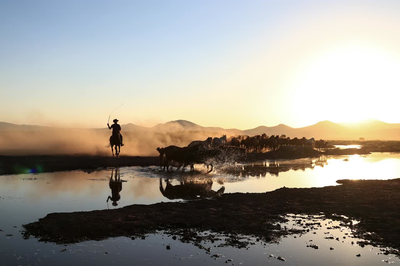 Cowboys driving cattle across a river at golden hour, Iron Ridge Advisors protects rural landowner wealth from federal and state capital gains tax
