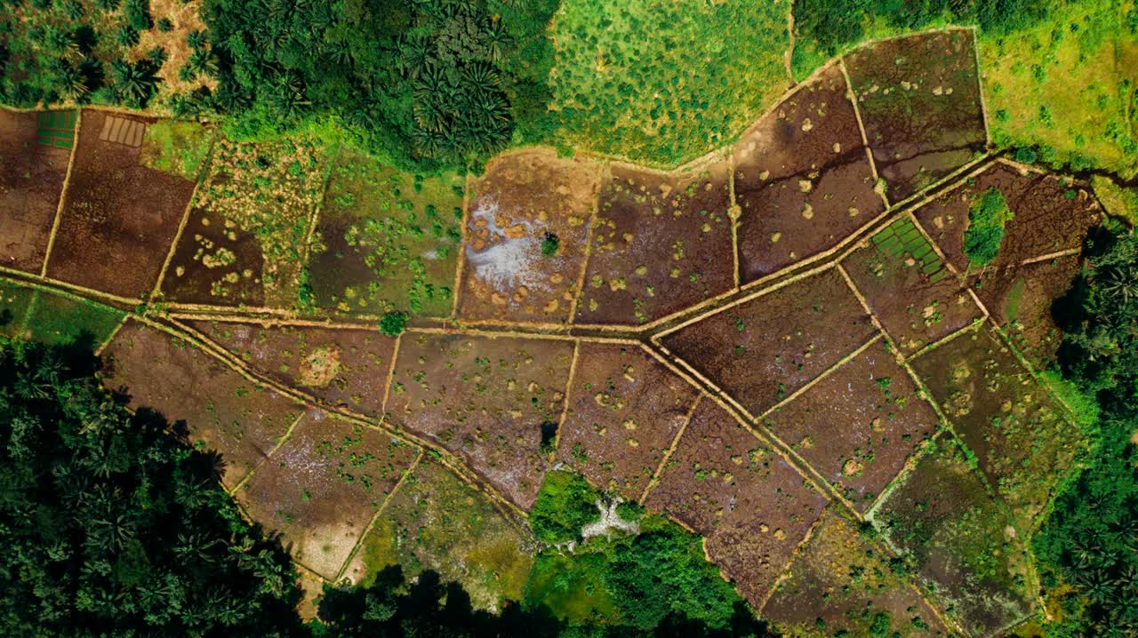Aerial view of irrigated farmland, the kind of agricultural property landowners 1031 exchange into a DST